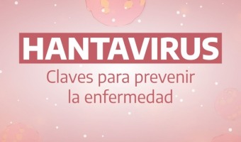 SALUD: RECOMENDACIONES PARA PREVENIR EL HANTAVIRUS